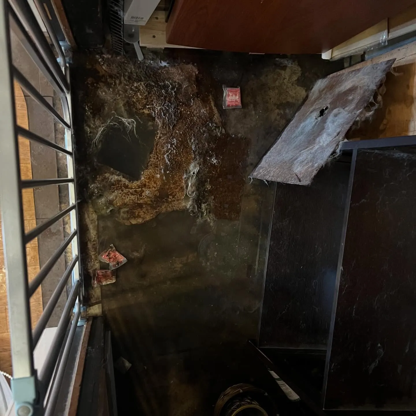 排水が詰まるとこんなことに…😱